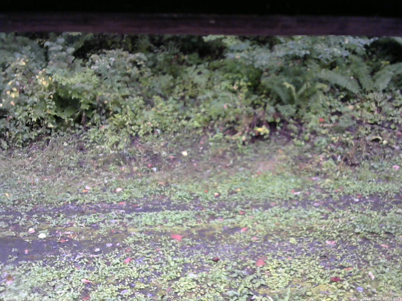 長野県菅平高原 ゆたか山荘 東側(坂下) 2026/09/26 14:15