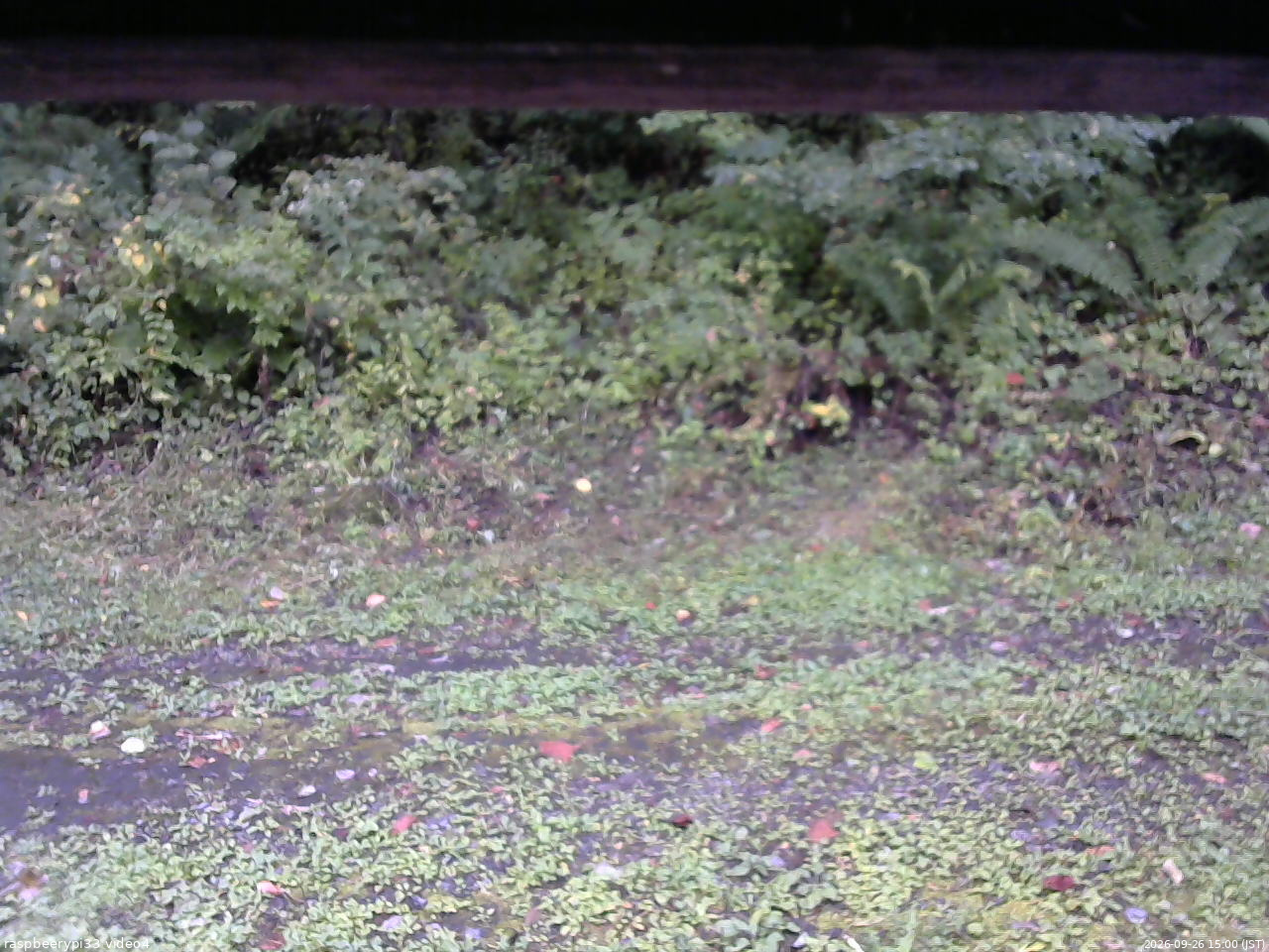 長野県菅平高原 ゆたか山荘 東側(坂下) 2026/09/26 15:00