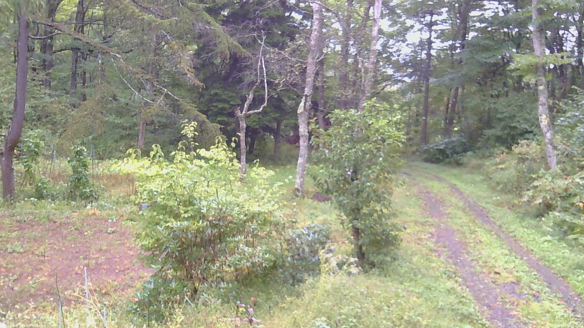 長野県菅平高原 ゆたか山荘 坂上 2026/09/26 06:45