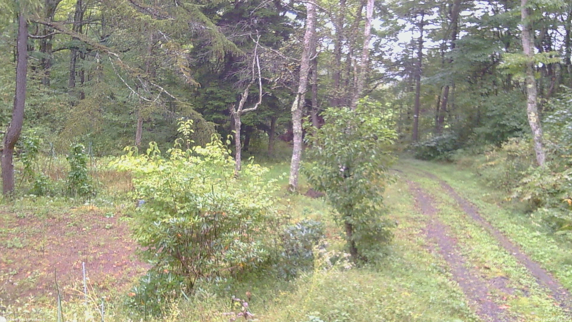 長野県菅平高原 ゆたか山荘 坂上 2026/09/26 07:45
