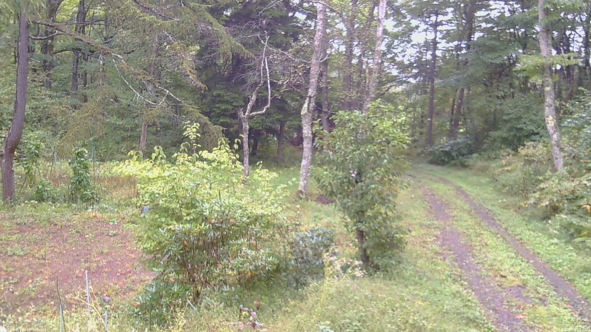 長野県菅平高原 ゆたか山荘 坂上 2026/09/26 08:00