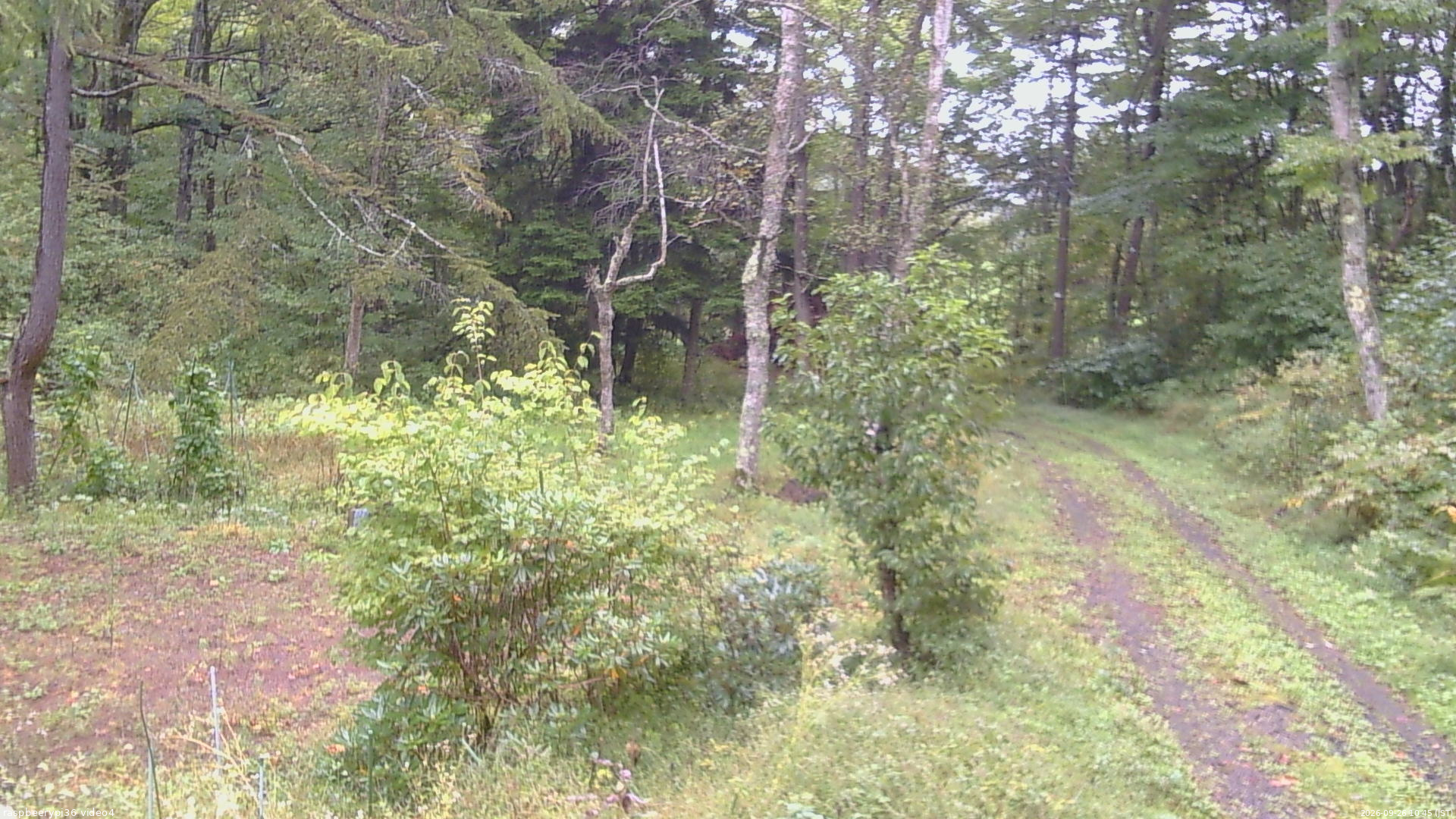 長野県菅平高原 ゆたか山荘 坂上 2026/09/26 10:45