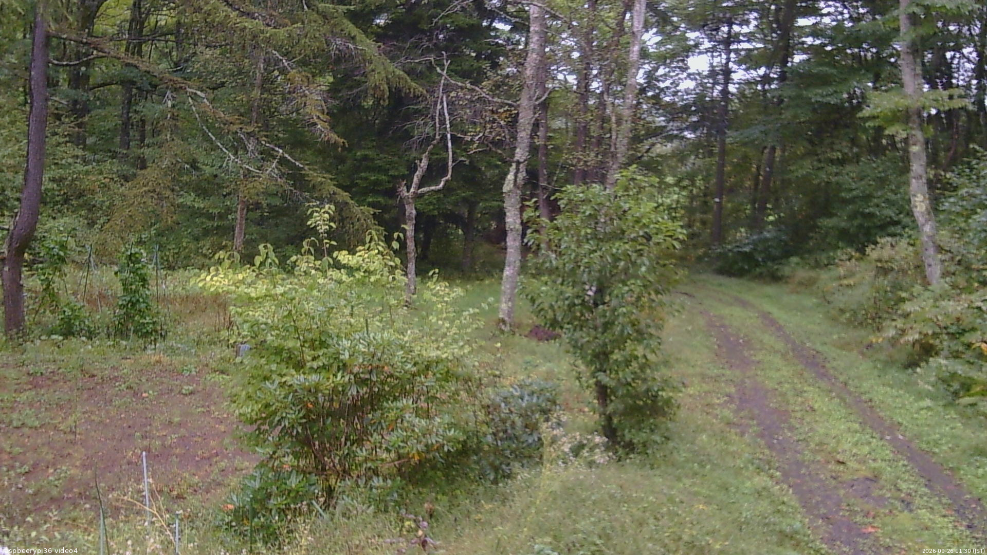 長野県菅平高原 ゆたか山荘 坂上 2026/09/26 11:30