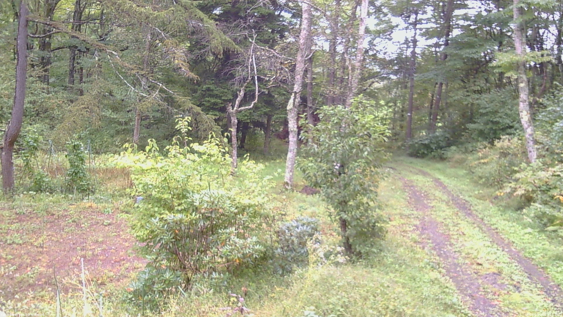 長野県菅平高原 ゆたか山荘 坂上 2026/09/26 13:15