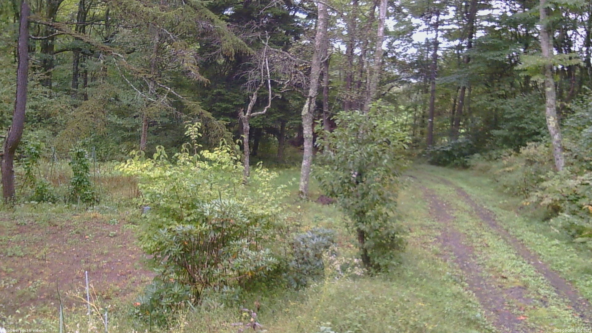 長野県菅平高原 ゆたか山荘 坂上 2026/09/26 13:30
