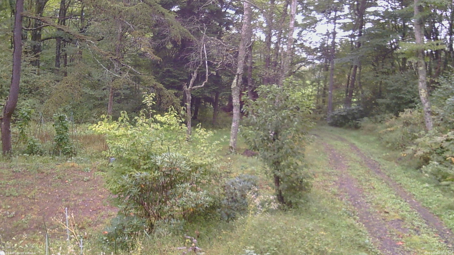 長野県菅平高原 ゆたか山荘 坂上 2026/09/26 15:30