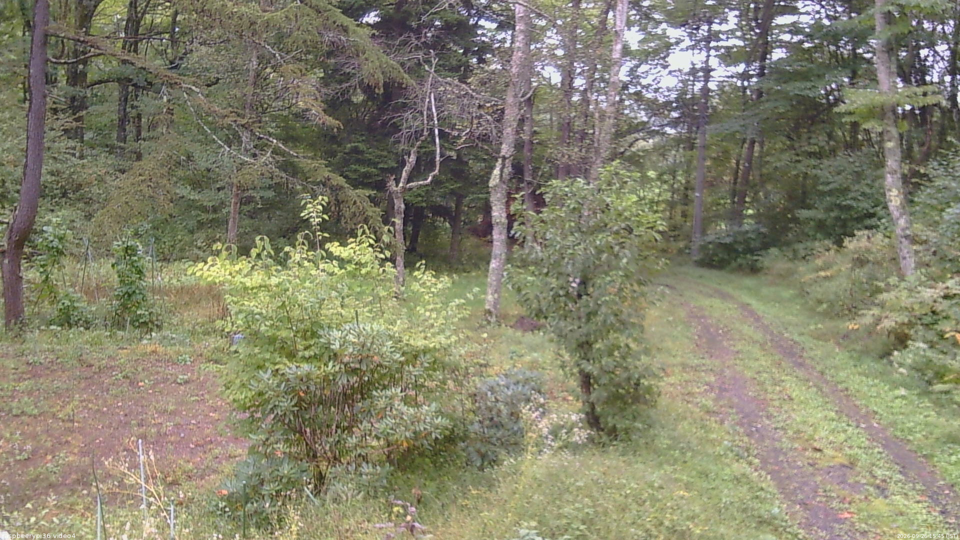長野県菅平高原 ゆたか山荘 坂上 2026/09/26 15:45