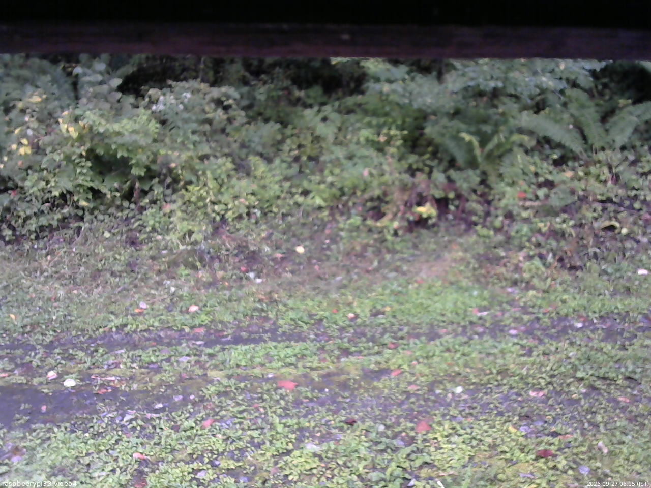 長野県菅平高原 ゆたか山荘 東側(坂下) 2026/09/27 06:15