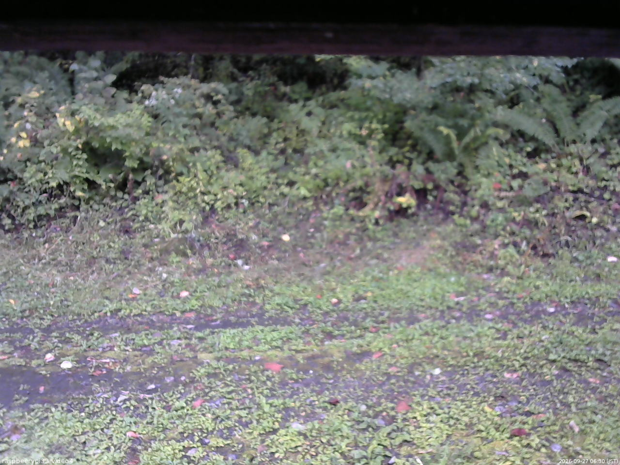 長野県菅平高原 ゆたか山荘 東側(坂下) 2026/09/27 06:30