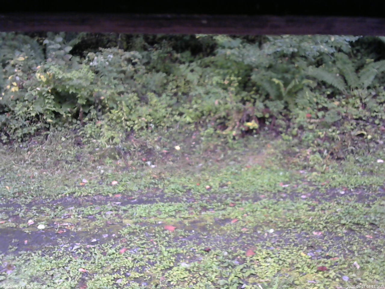 長野県菅平高原 ゆたか山荘 東側(坂下) 2026/09/27 07:15