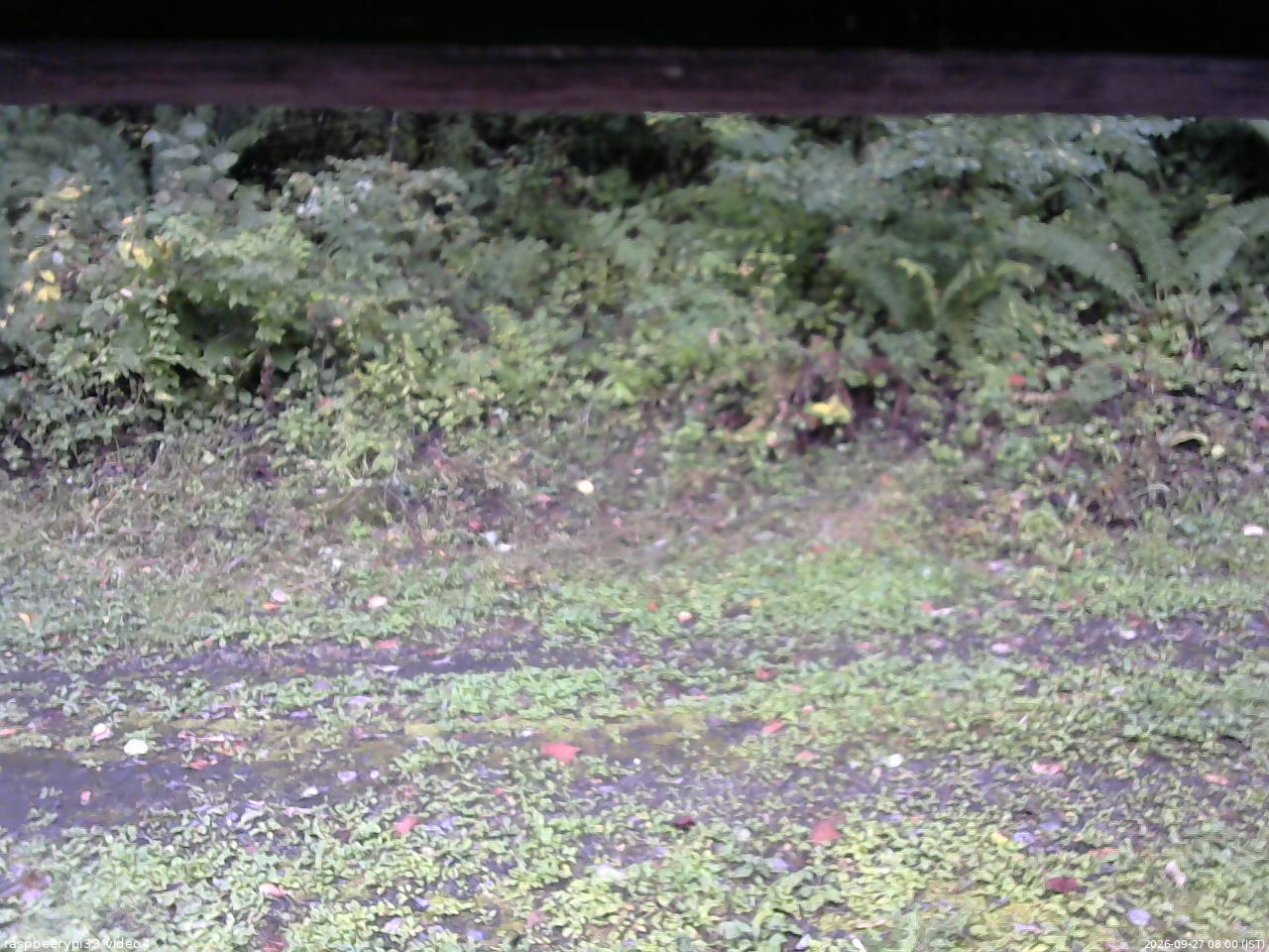 長野県菅平高原 ゆたか山荘 東側(坂下) 2026/09/27 08:00