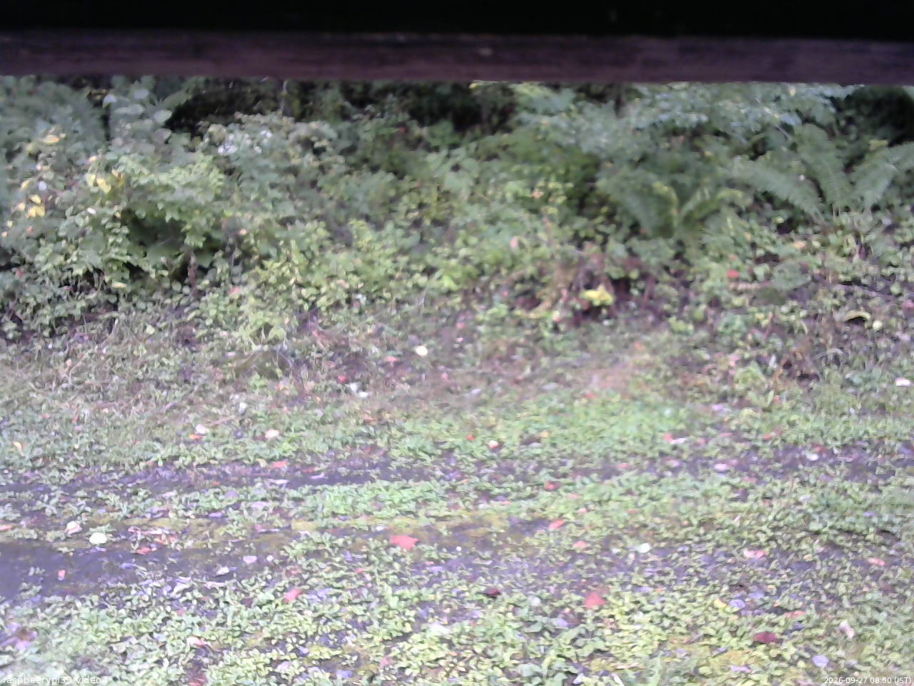 長野県菅平高原 ゆたか山荘 東側(坂下) 2026/09/27 08:30