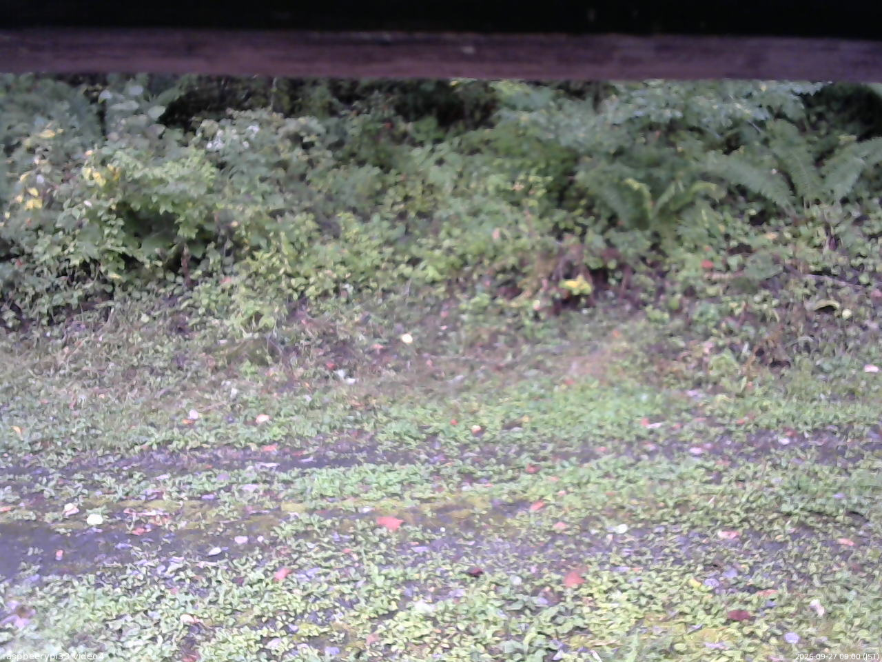 長野県菅平高原 ゆたか山荘 東側(坂下) 2026/09/27 09:00