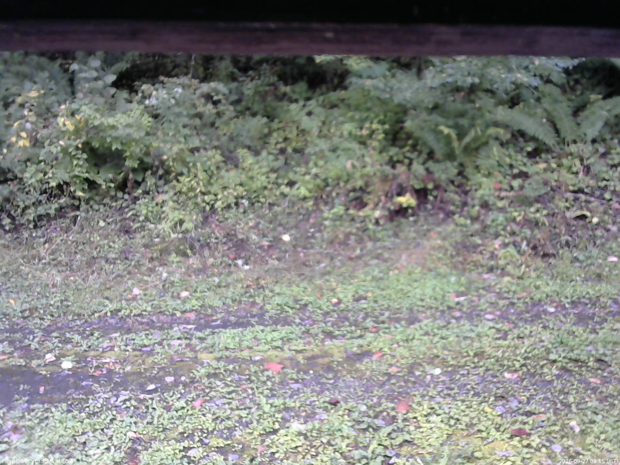 長野県菅平高原 ゆたか山荘 東側(坂下) 2026/09/27 09:15
