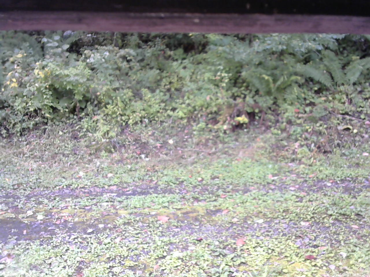 長野県菅平高原 ゆたか山荘 東側(坂下) 2026/09/27 10:30
