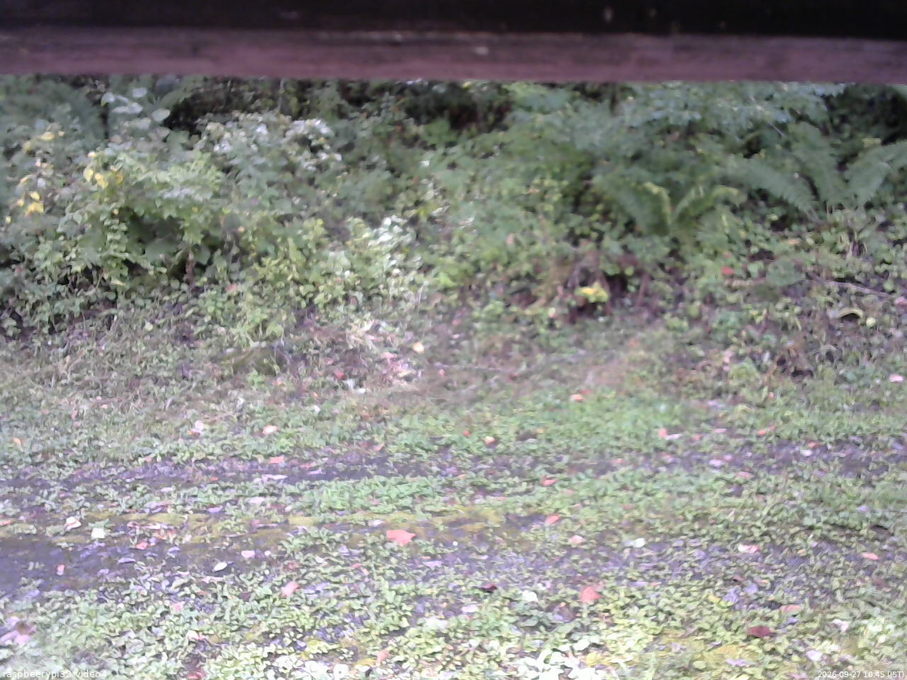 長野県菅平高原 ゆたか山荘 東側(坂下) 2026/09/27 10:45