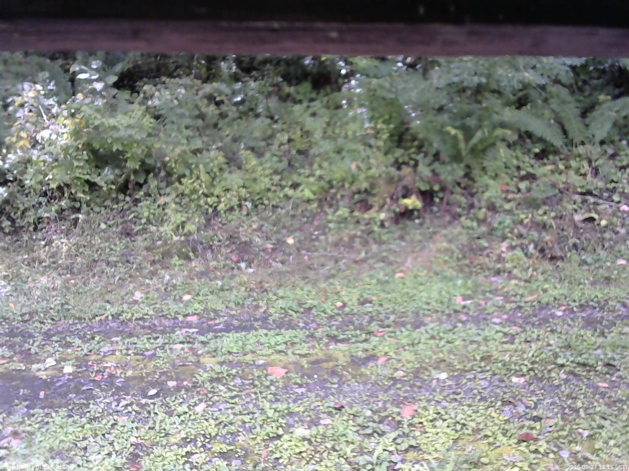 長野県菅平高原 ゆたか山荘 東側(坂下) 2026/09/27 11:15