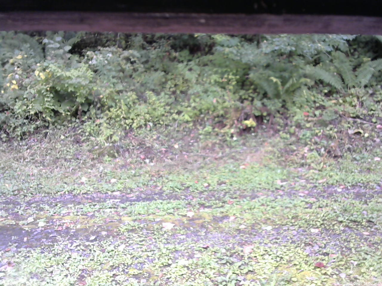 長野県菅平高原 ゆたか山荘 東側(坂下) 2026/09/27 12:00