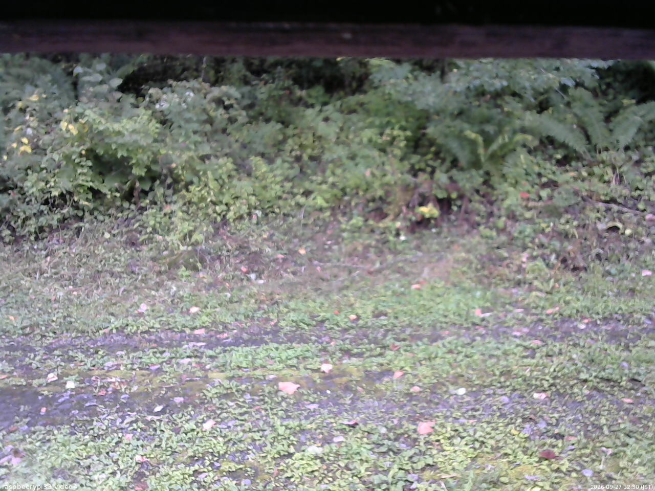 長野県菅平高原 ゆたか山荘 東側(坂下) 2026/09/27 12:30