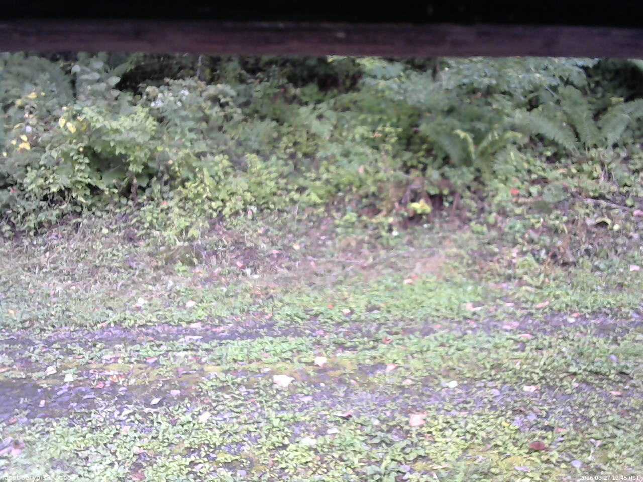 長野県菅平高原 ゆたか山荘 東側(坂下) 2026/09/27 12:45