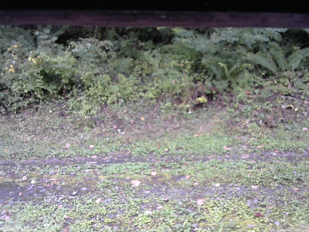 長野県菅平高原 ゆたか山荘 東側(坂下) 2026/09/27 13:00