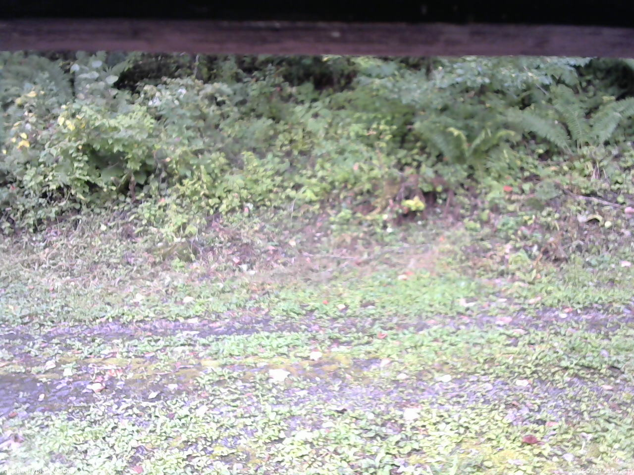 長野県菅平高原 ゆたか山荘 東側(坂下) 2026/09/27 13:15