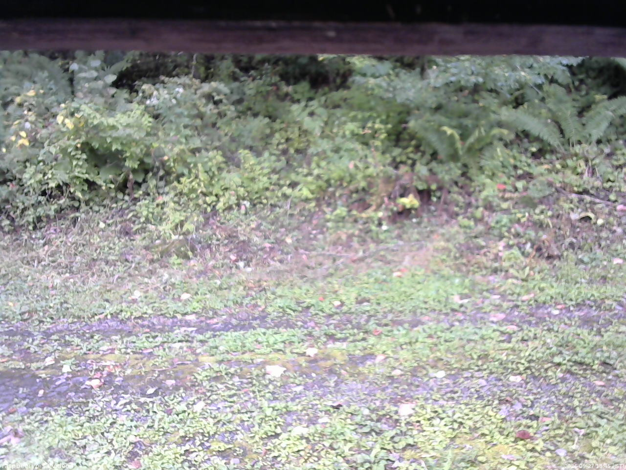 長野県菅平高原 ゆたか山荘 東側(坂下) 2026/09/27 13:45