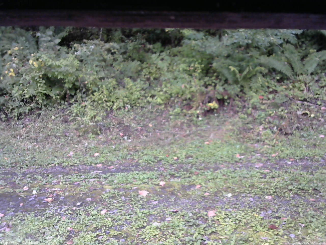長野県菅平高原 ゆたか山荘 東側(坂下) 2026/09/27 14:00