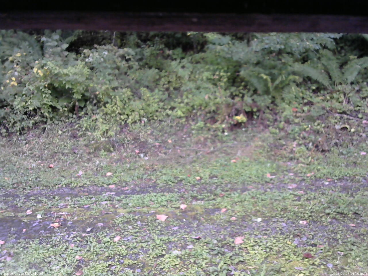長野県菅平高原 ゆたか山荘 東側(坂下) 2026/09/27 14:15