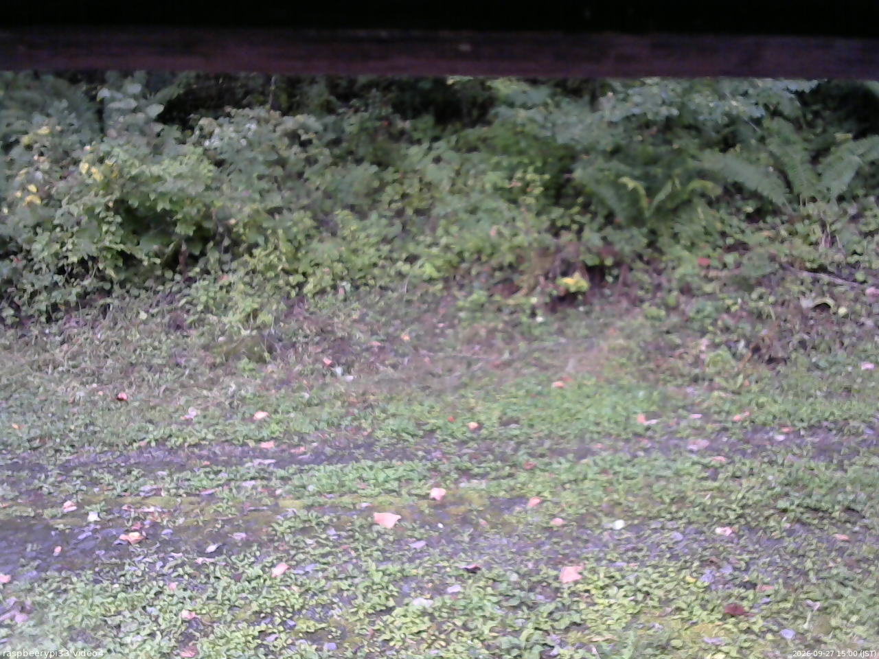 長野県菅平高原 ゆたか山荘 東側(坂下) 2026/09/27 15:00