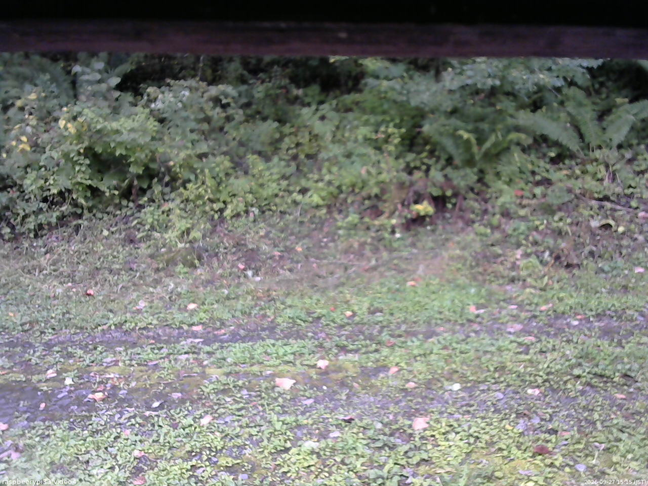 長野県菅平高原 ゆたか山荘 東側(坂下) 2026/09/27 15:15