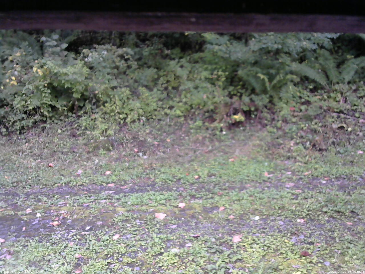 長野県菅平高原 ゆたか山荘 東側(坂下) 2026/09/27 16:15