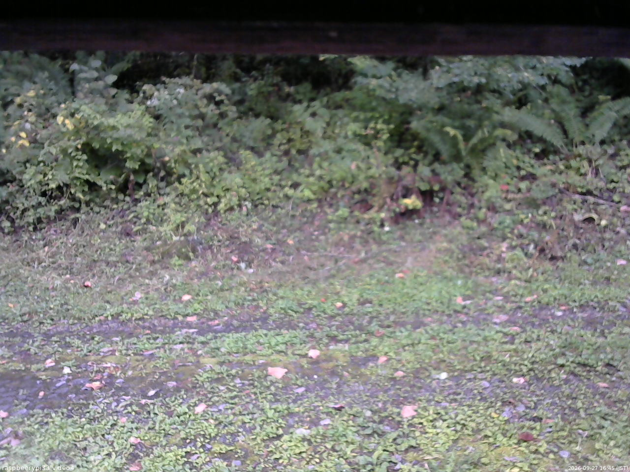 長野県菅平高原 ゆたか山荘 東側(坂下) 2026/09/27 16:45