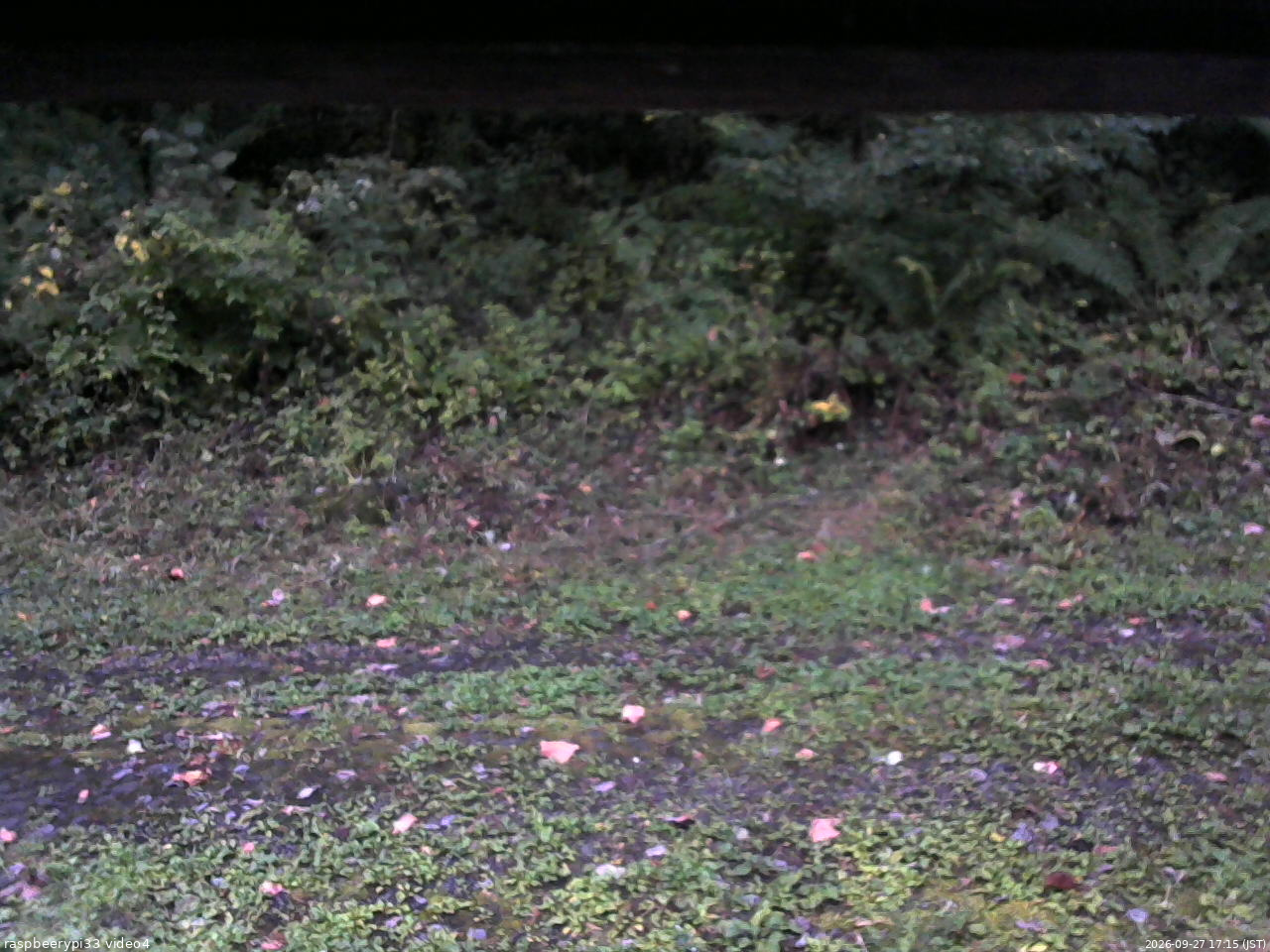 長野県菅平高原 ゆたか山荘 東側(坂下) 2026/09/27 17:15