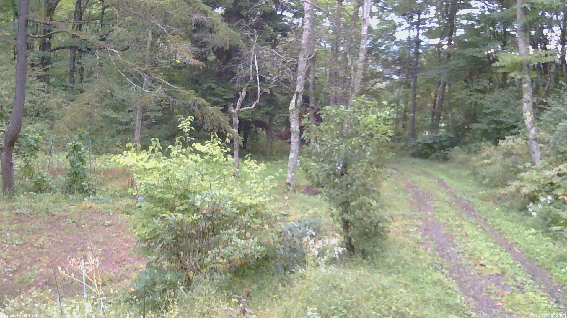 長野県菅平高原 ゆたか山荘 坂上 2026/09/27 06:00