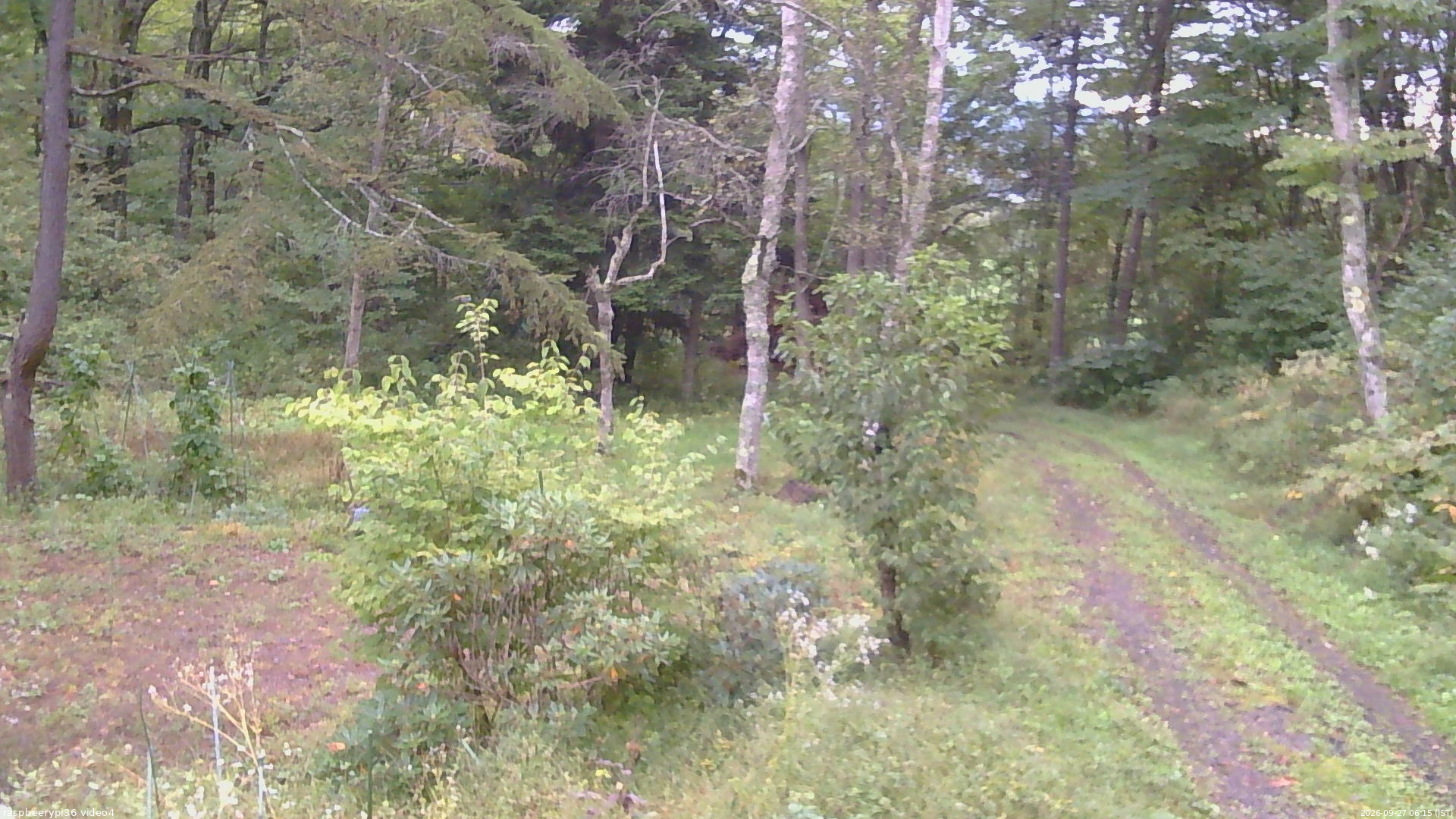 長野県菅平高原 ゆたか山荘 坂上 2026/09/27 06:15