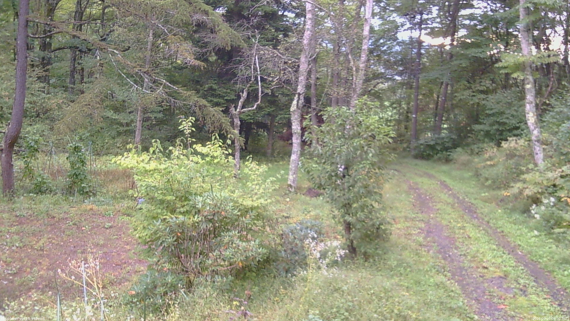 長野県菅平高原 ゆたか山荘 坂上 2026/09/27 06:30