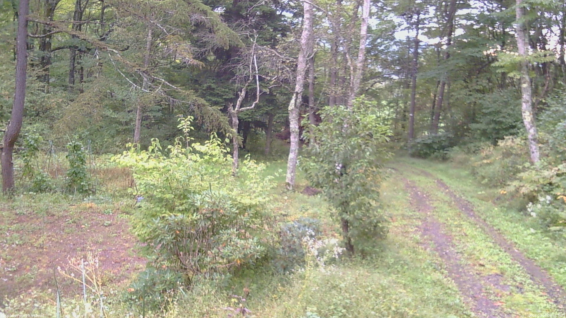 長野県菅平高原 ゆたか山荘 坂上 2026/09/27 06:45