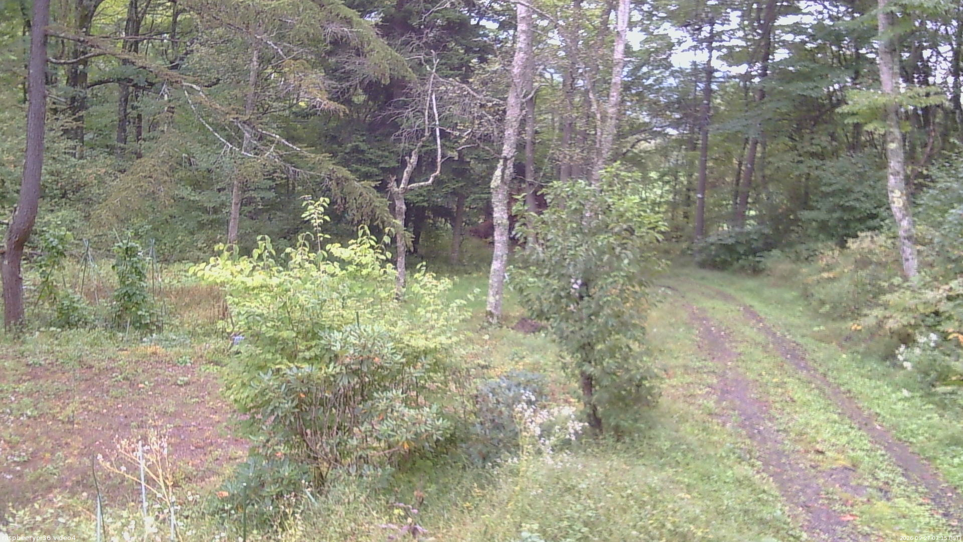 長野県菅平高原 ゆたか山荘 坂上 2026/09/27 07:15
