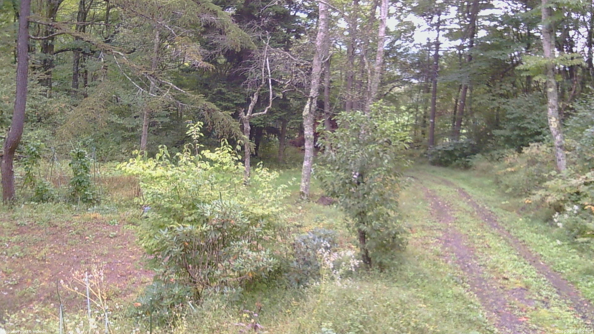 長野県菅平高原 ゆたか山荘 坂上 2026/09/27 08:00