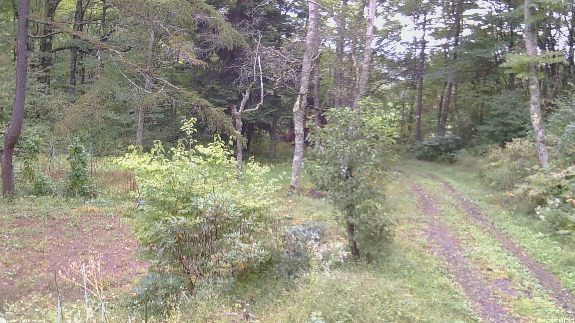 長野県菅平高原 ゆたか山荘 坂上 2026/09/27 08:15