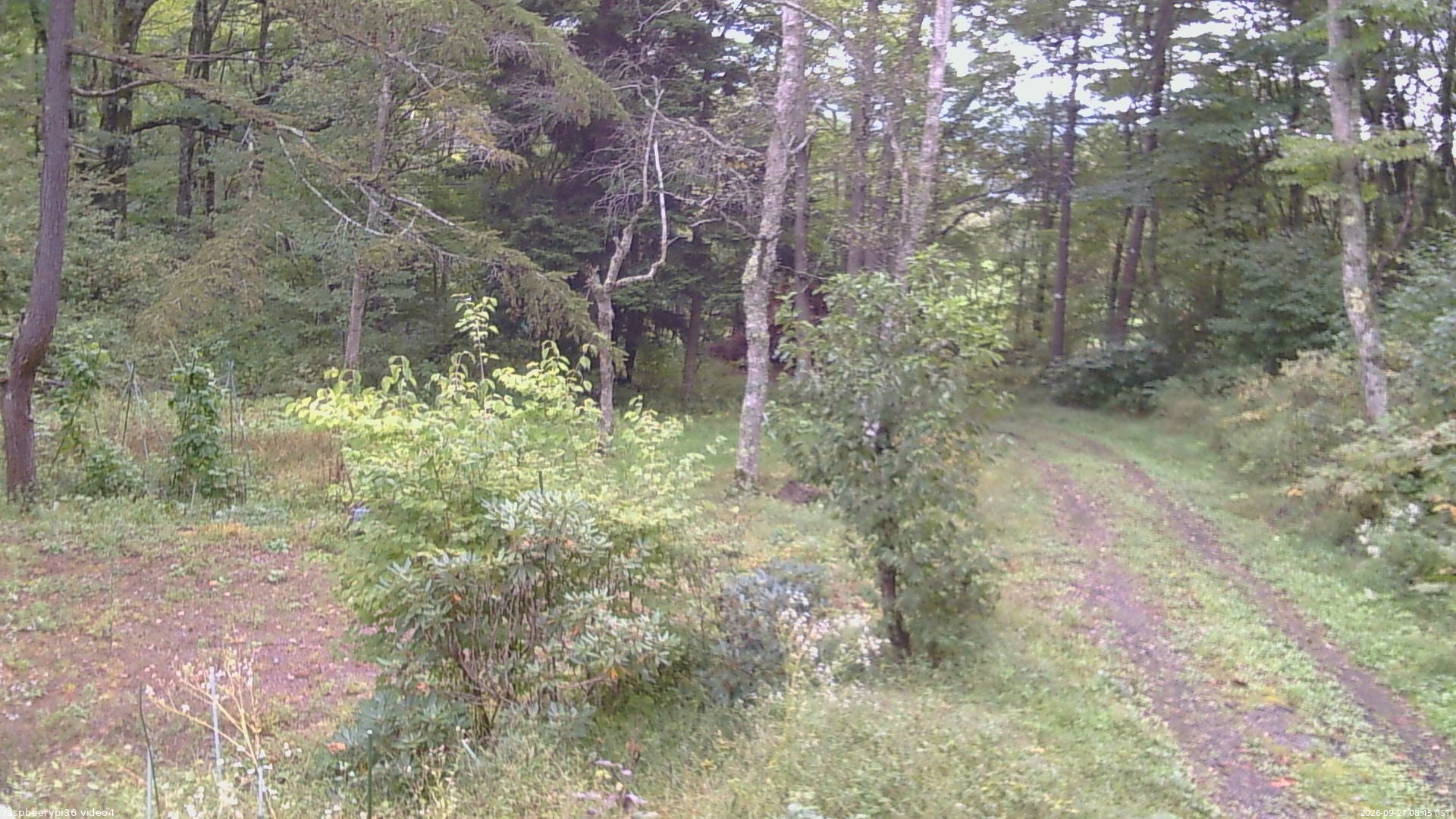 長野県菅平高原 ゆたか山荘 坂上 2026/09/27 08:45