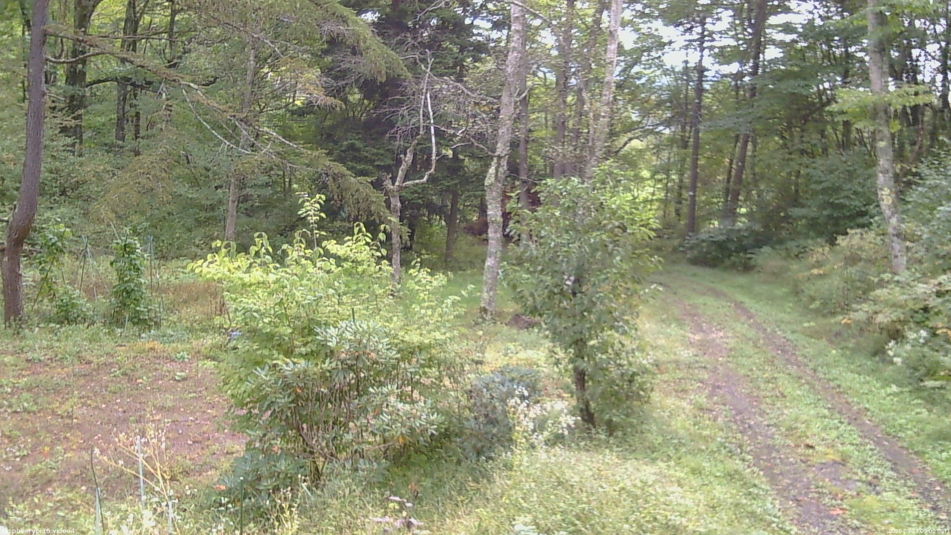 長野県菅平高原 ゆたか山荘 坂上 2026/09/27 09:00