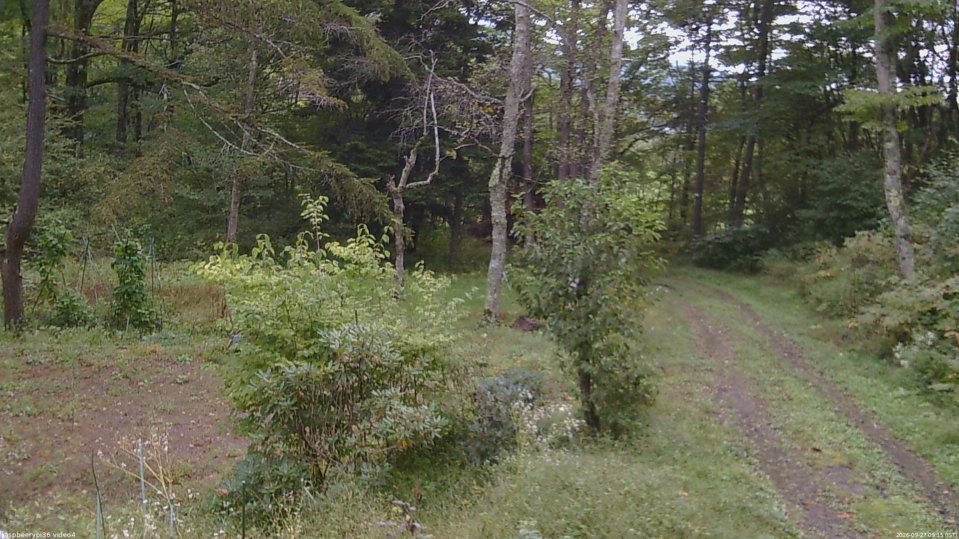 長野県菅平高原 ゆたか山荘 坂上 2026/09/27 09:15