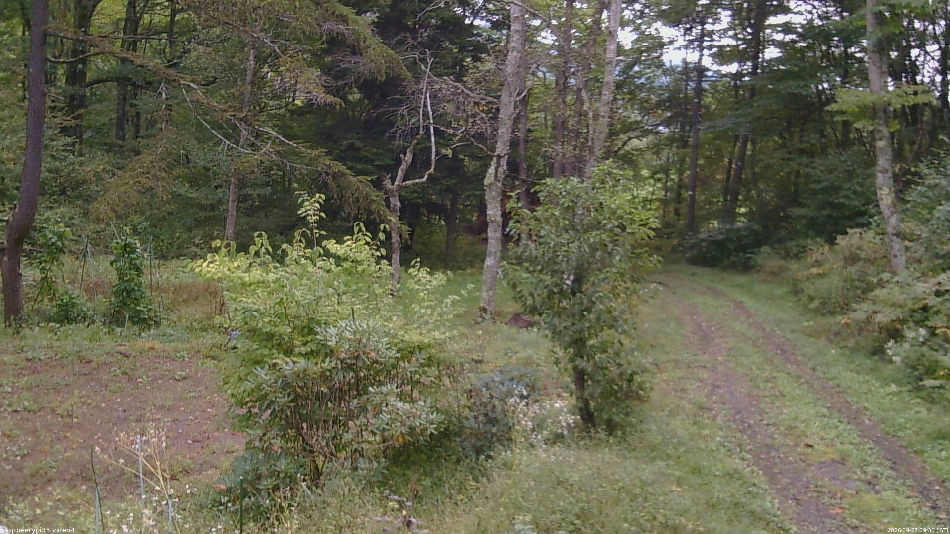 長野県菅平高原 ゆたか山荘 坂上 2026/09/27 09:30