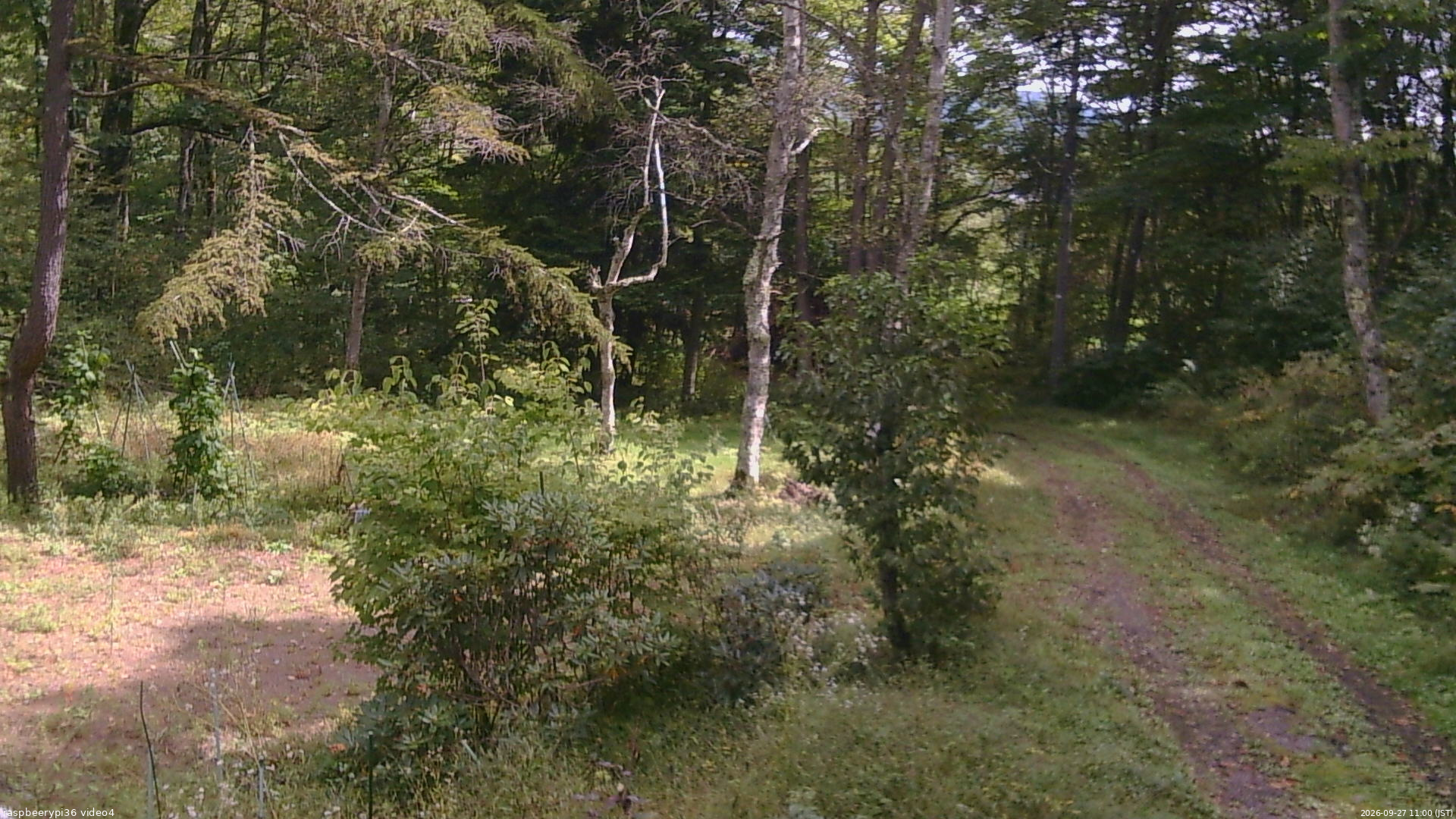 長野県菅平高原 ゆたか山荘 坂上 2026/09/27 11:00