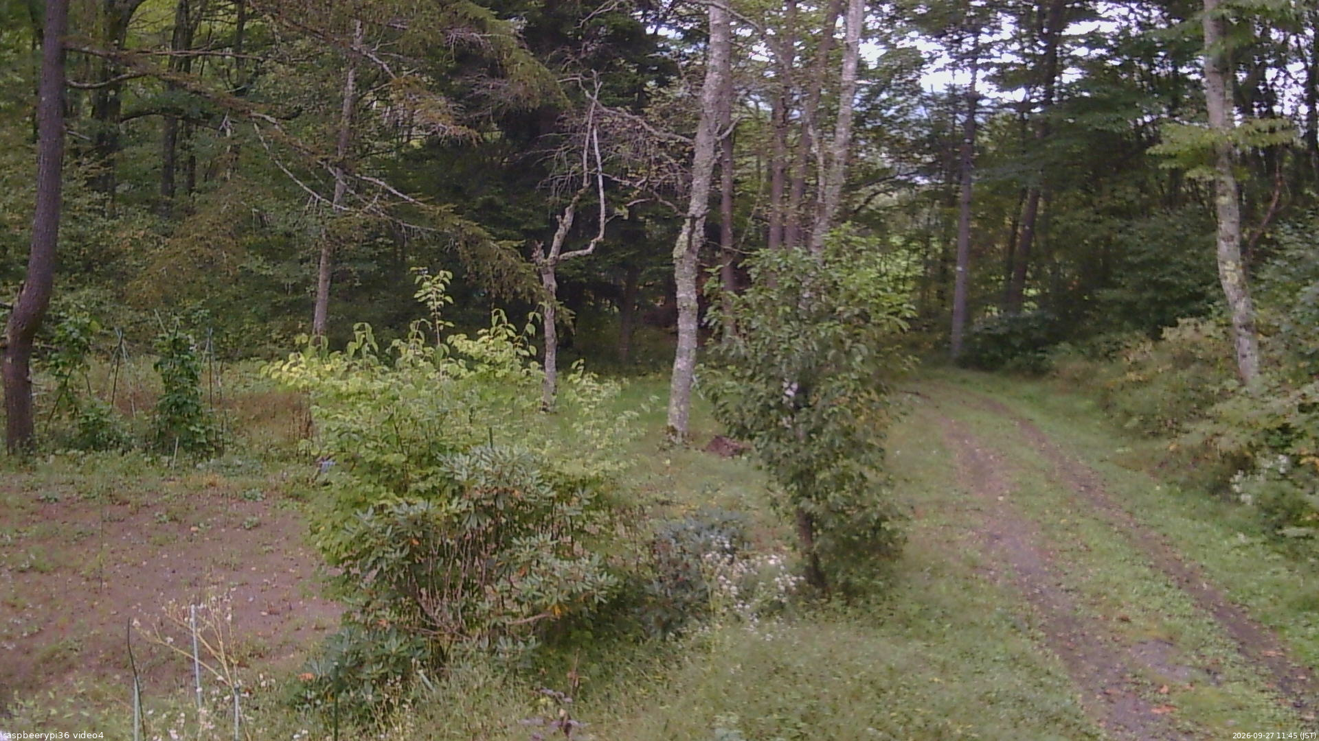 長野県菅平高原 ゆたか山荘 坂上 2026/09/27 11:45