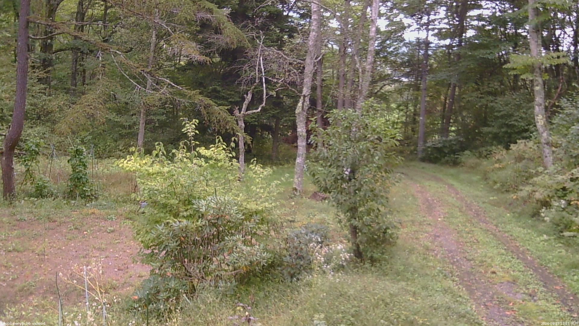 長野県菅平高原 ゆたか山荘 坂上 2026/09/27 12:15