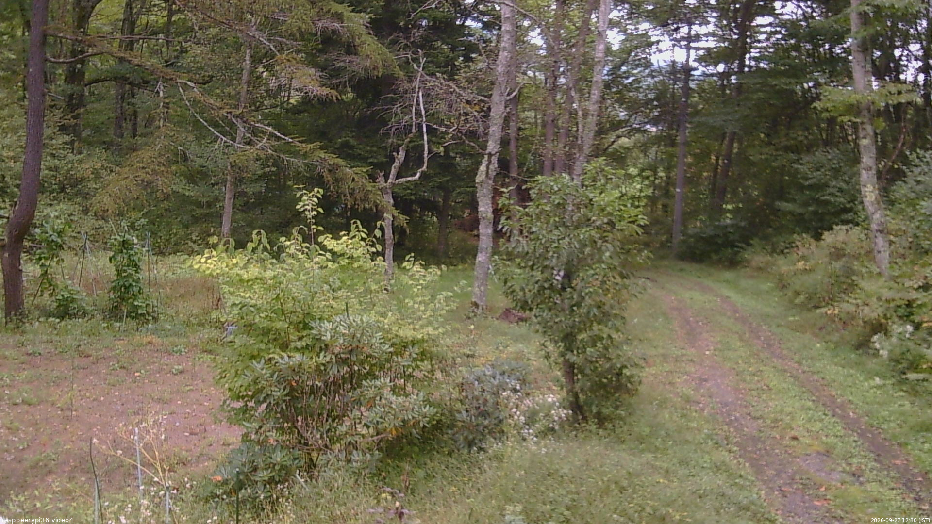 長野県菅平高原 ゆたか山荘 坂上 2026/09/27 12:30