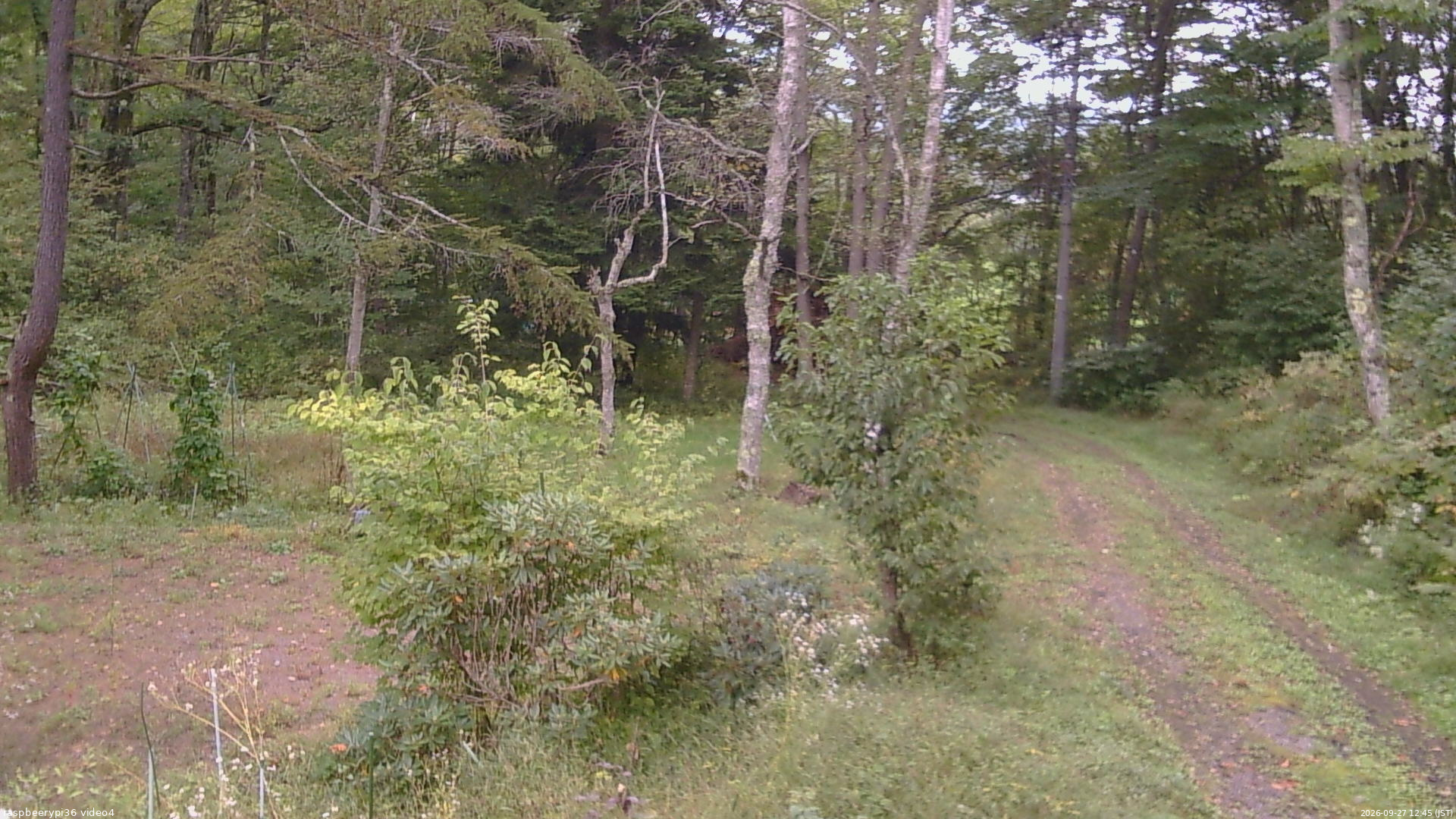 長野県菅平高原 ゆたか山荘 坂上 2026/09/27 12:45
